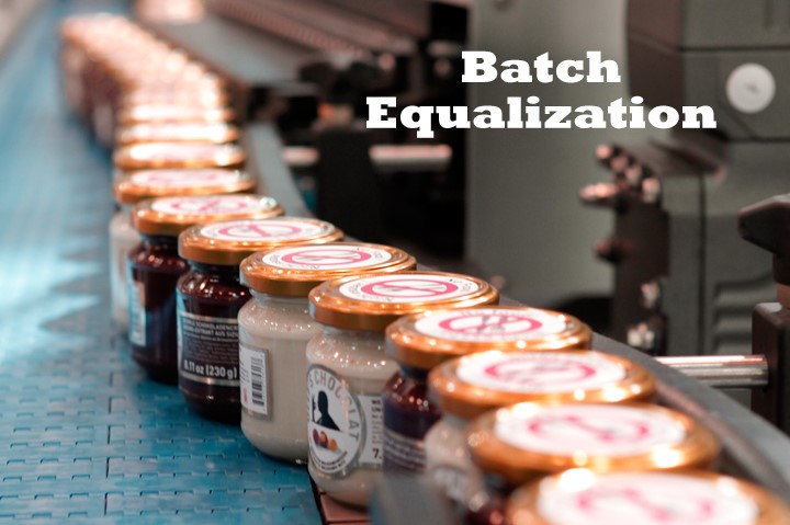 Batch Equalization